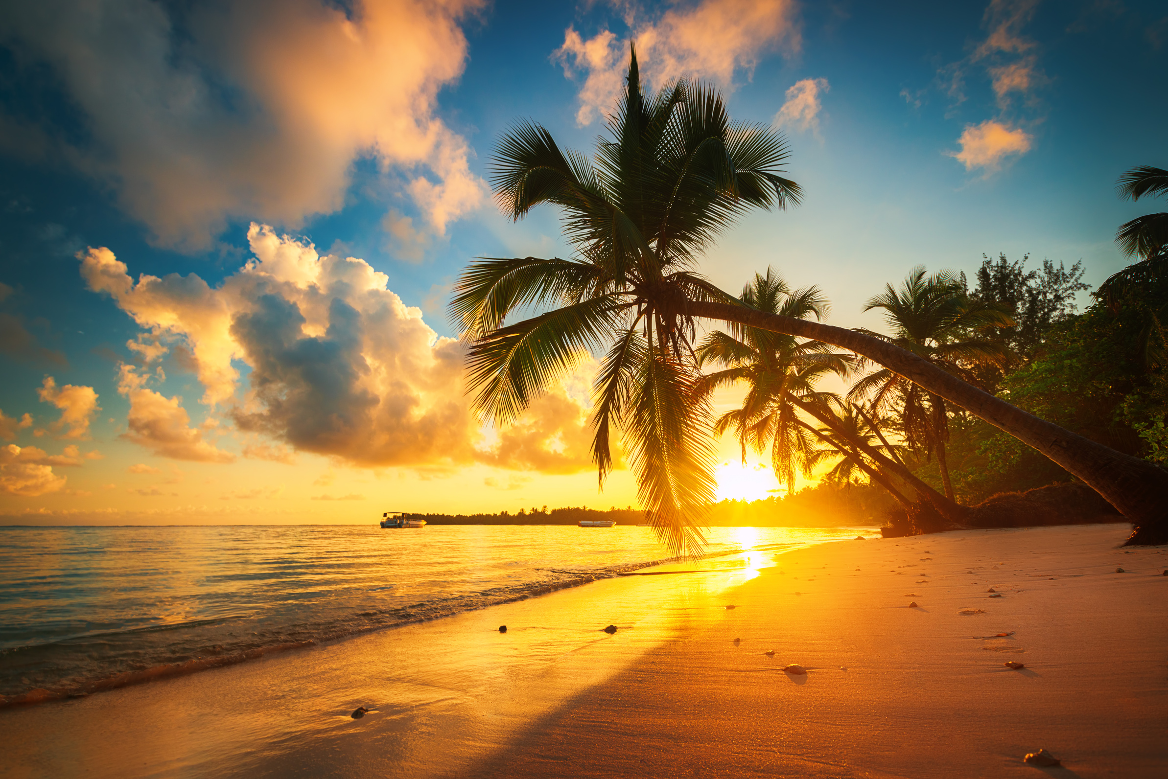 Tropical island beach in Punta Cana, Dominican Republic